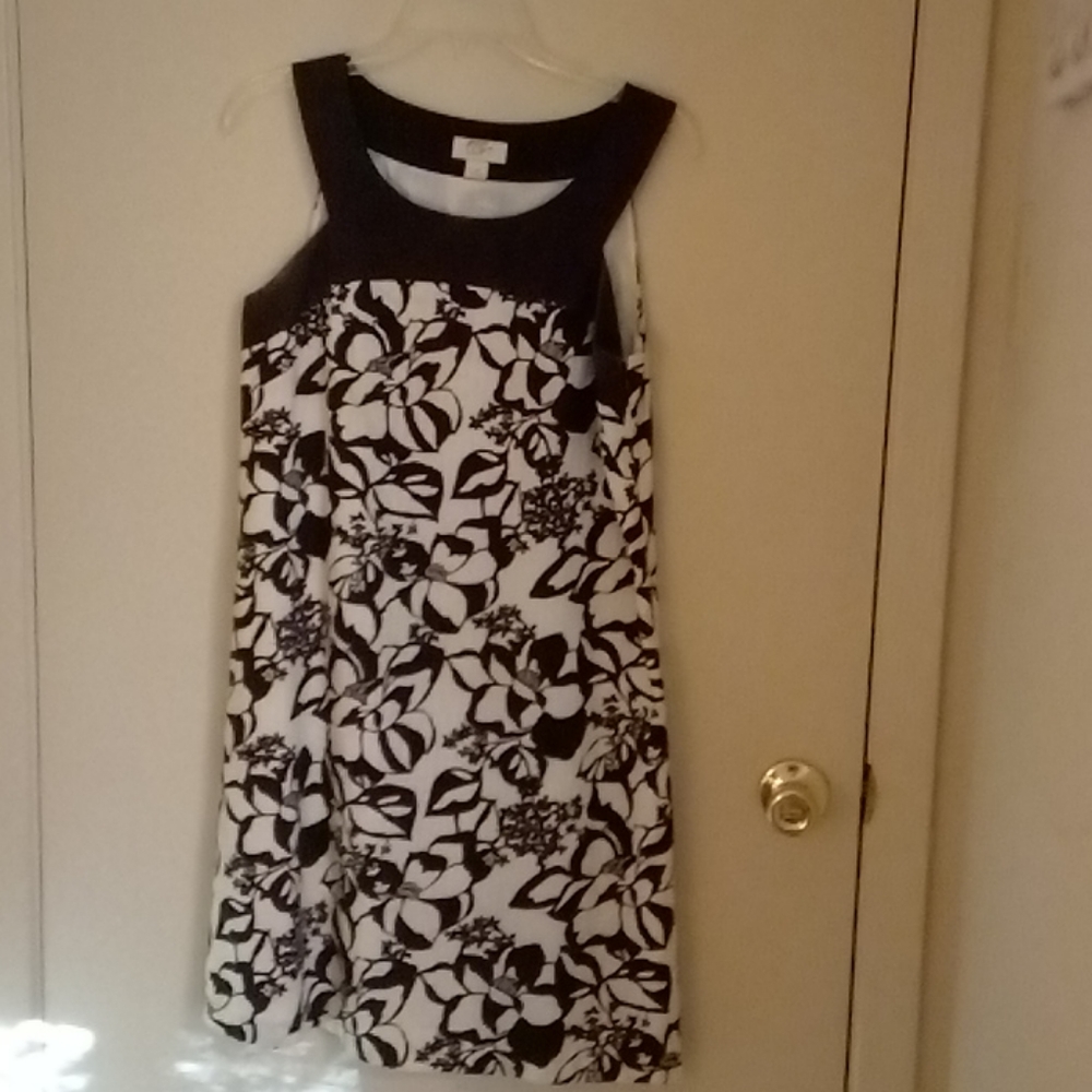 Ann Taylor black and white dress.